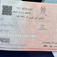 نیازمند ضامن برای وام همراه با کسب درامد