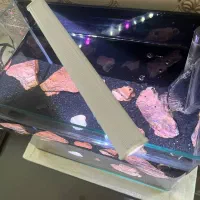 یک آکواریوم مدرن شیشه خم|ماهی|اسلامشهر, شهرک سعیدیه|دیوار