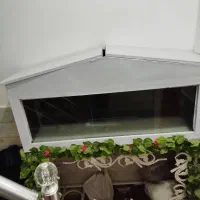 آکواریوم|ماهی|قم, کیوانفر|دیوار