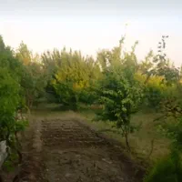 فروش یونجه خالص در خانه باغ