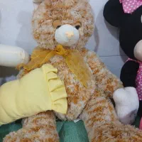 عروسک|اسباب‌بازی بچه|برازجان, |دیوار