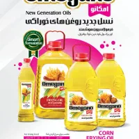 استخدام نیرو در لاهیجان