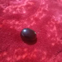 مهره|بدلیجات|شادگان, |دیوار