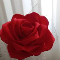 گل رز جاودانه