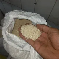 برنج هاشمی درجه ۱|خوردنی و آشامیدنی|لاهیجان, لیالستان|دیوار