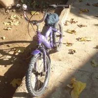 دوچرخه ۱۶|دوچرخه، اسکیت، اسکوتر|گنبد کاووس, |دیوار