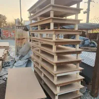 فروش کفه تخت استخوانی جفتی