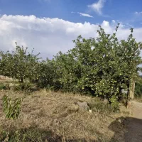 باغ ۱۵۰۰ متری با ویلای تازه ساخت در کمربندی اهر|فروش خانه و ویلا|اهر, |دیوار