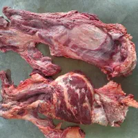 گوشت صورت کله زبان مغز گوساله|خوردنی و آشامیدنی|تهران, بوستان ولایت|دیوار