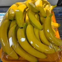 کاروان زیارتی کربلا ویژه عرفه وعیدقربان
