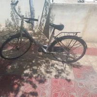 دوچرخه ایتالیایی