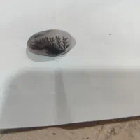 انگشتر نقره شجر