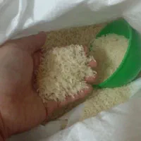 برنج طارم