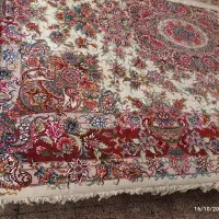 فرش سالاری|فرش|آذرشهر, |دیوار
