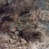 سلام عرض ادب و ارادت خدمت شما سنگ قیمتی در حفاری