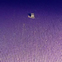 سیم کارت کد 3 شماره رند