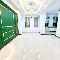 ۵۵ متر نورگیر خطی/روبه نما/کم واحد/ سندتک برگ