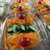 ژله تک نفره (مناسبترین قیمت، بهترین کیفیت)