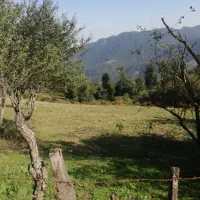 زمین مسکونی ۵۰۰متر