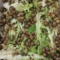 فروش حلزون تراپی و کلاژن ساز