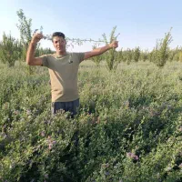 به یک زمین جهت تحقیقات کشاورزی