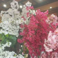 درخت شکوفه مصنوعی|گل مصنوعی|یزد, |دیوار