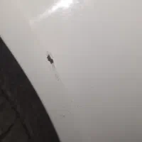 رانا پلاس ۱۴۰۴|خودرو سواری و وانت|کرمانشاه, |دیوار