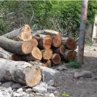 خریدار انواع چوب