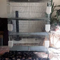 قفس پرون،قفس پژاوند 1033 قفس خورشیدی پایه قفس لانه|لوازم جانبی حیوانات|اندیشه, اندیشه فاز ۱|دیوار