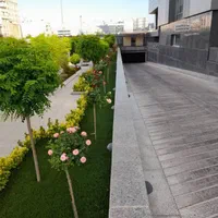 نهال کاج سرو پایان کار شهرداری کف قیمت کل ایران|خدمات باغبانی و درختکاری|تهران, حکیمیه|دیوار