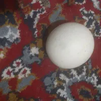 سنگ الماس اسیاب