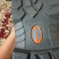 کفش. لباس کار.|کیف، کفش، کمربند|برازجان, |دیوار