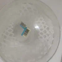 ظرف|ظروف سرو و پذیرایی|زاهدان, |دیوار