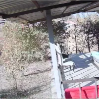 اجاره کوتاه مدت (آب هوای پاک)|اجارهٔ کوتاهمدت ویلا و باغ|طالقان, |دیوار