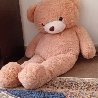 خرس بزرگ