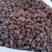 کشمش آفتابی