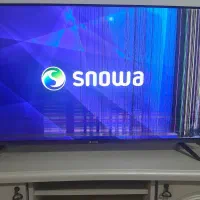 تلویزیون|تلویزیون و پروژکتور|نسیمشهر, |دیوار