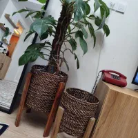 گلدان حصیری