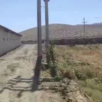 فروش مرغداری 41 هزار قطعه/ فول اتوماتیک|فروش دفتر صنعتی، کشاورزی، تجاری|ملایر, |دیوار