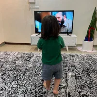 فروش فوری فرش فرهی کاشان