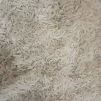 برنج طارم فجر گرگان