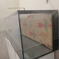 اکواریوم ریملس|ماهی|خمینیشهر, |دیوار