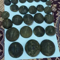 سنگ های کلکسیونی (فسیل) زیبا