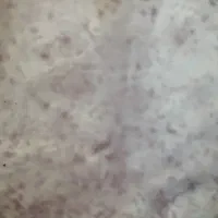 فروش گاواهن تراکتور