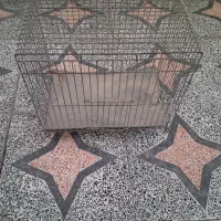 قفس