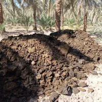 کود گاوی خالص شیره دار|خدمات باغبانی و درختکاری|بم, |دیوار