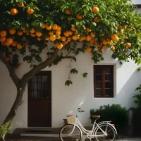 کرایه مغازه