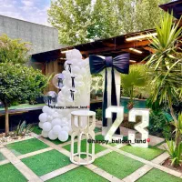 بادکنک آرایی/دکور تولد/افتتاحیه/تن پوش عروسکی|خدمات پذیرایی، مراسم|تهران, جنتآباد جنوبی|دیوار