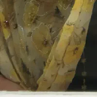 دوخت چادر و شلوار بندری پذیرفته میشه