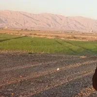 سربرداشتی خازم در حدود ۱۰۰ تا ۲۰۰ م